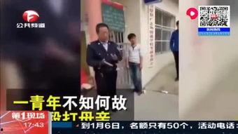 吃瓜视频网红打架事件