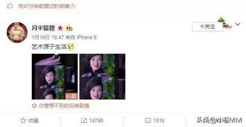 王在在吃瓜网免费官网