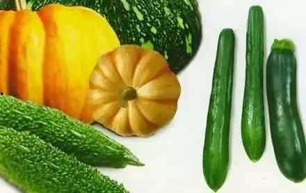 吃瓜网的用户名是什么呢,揭秘“吃瓜网”热门用户名背后的故事