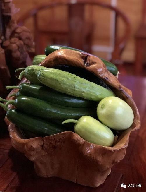 网红吃的软瓜叫什么来着