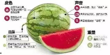 宿州网红吃瓜群微信,揭秘网络社交圈的趣味与争议