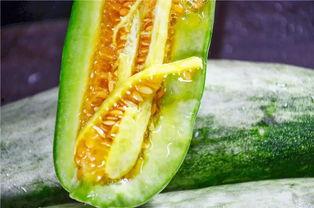 吃瓜网红吃瓜网站大全,揭秘热门吃瓜网站大全