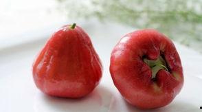 莲雾吃瓜网,揭秘网络红人背后的故事与争议