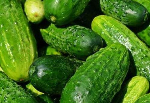 高端网红吃瓜视频下载安装,下载安装攻略与热门内容盘点