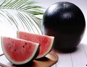 黑了吃瓜网在线,黑了吃瓜网带你领略吃瓜界的风云变幻